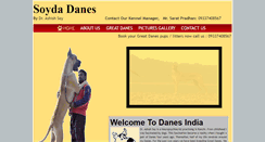 Desktop Screenshot of danesindia.com
