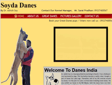 Tablet Screenshot of danesindia.com